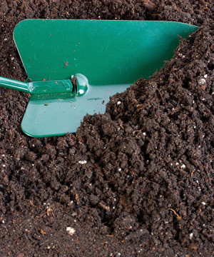 Black Organic Peat Based Potting Soil| McCarty Mulch