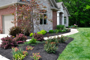 Black Colored Mulch | Indianapolis Mulch | McCarty Mulch