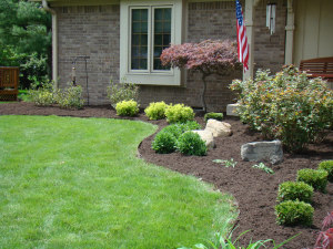 Hardwood Fines | Indianapolis Mulch