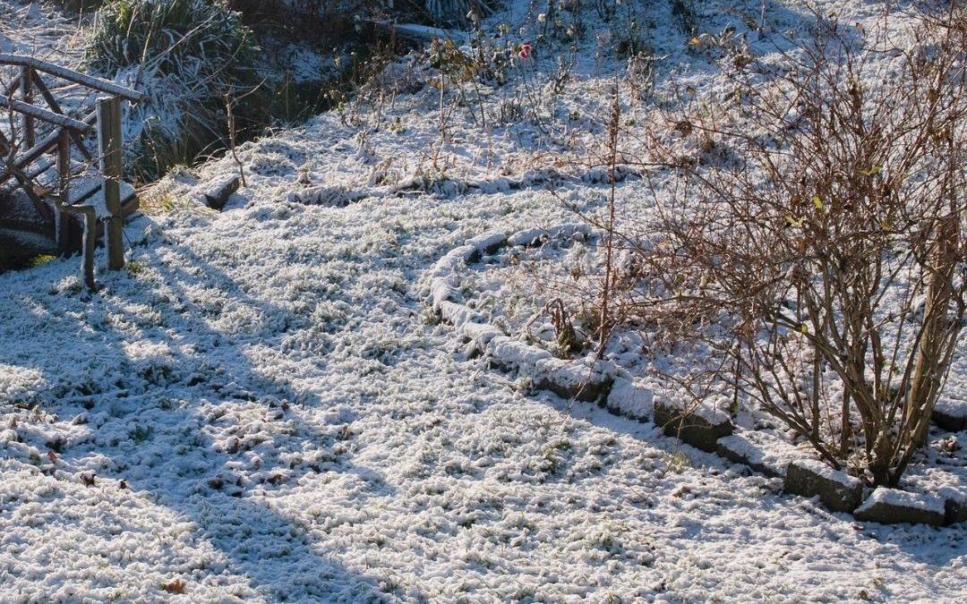 Winter landscape